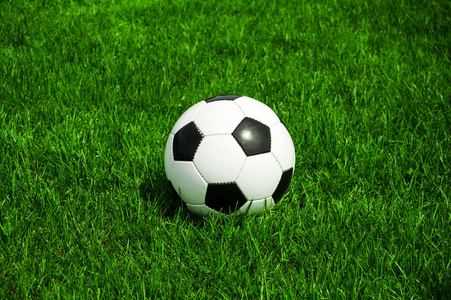 澳客14场应用特色